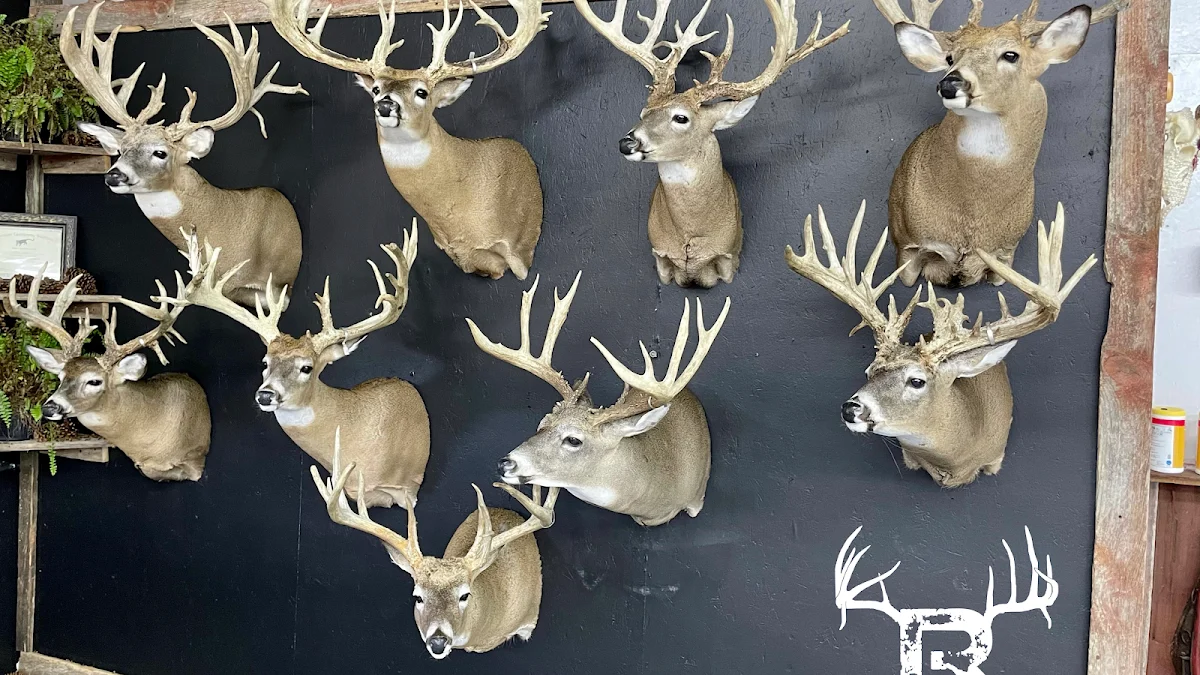 Riebe’s Taxidermy