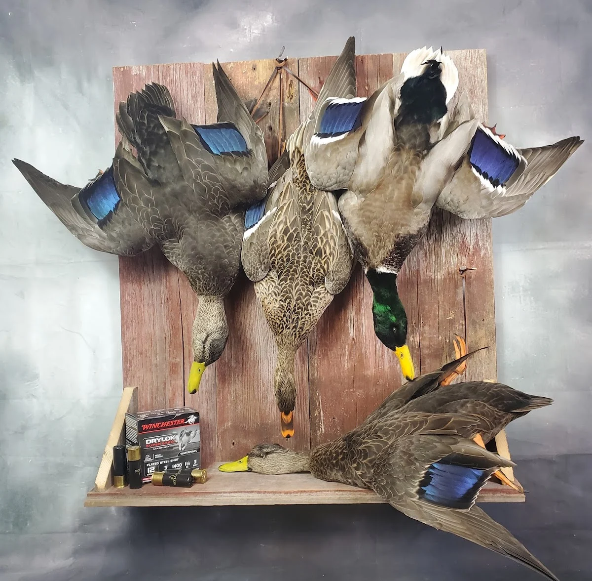 River Point Taxidermy