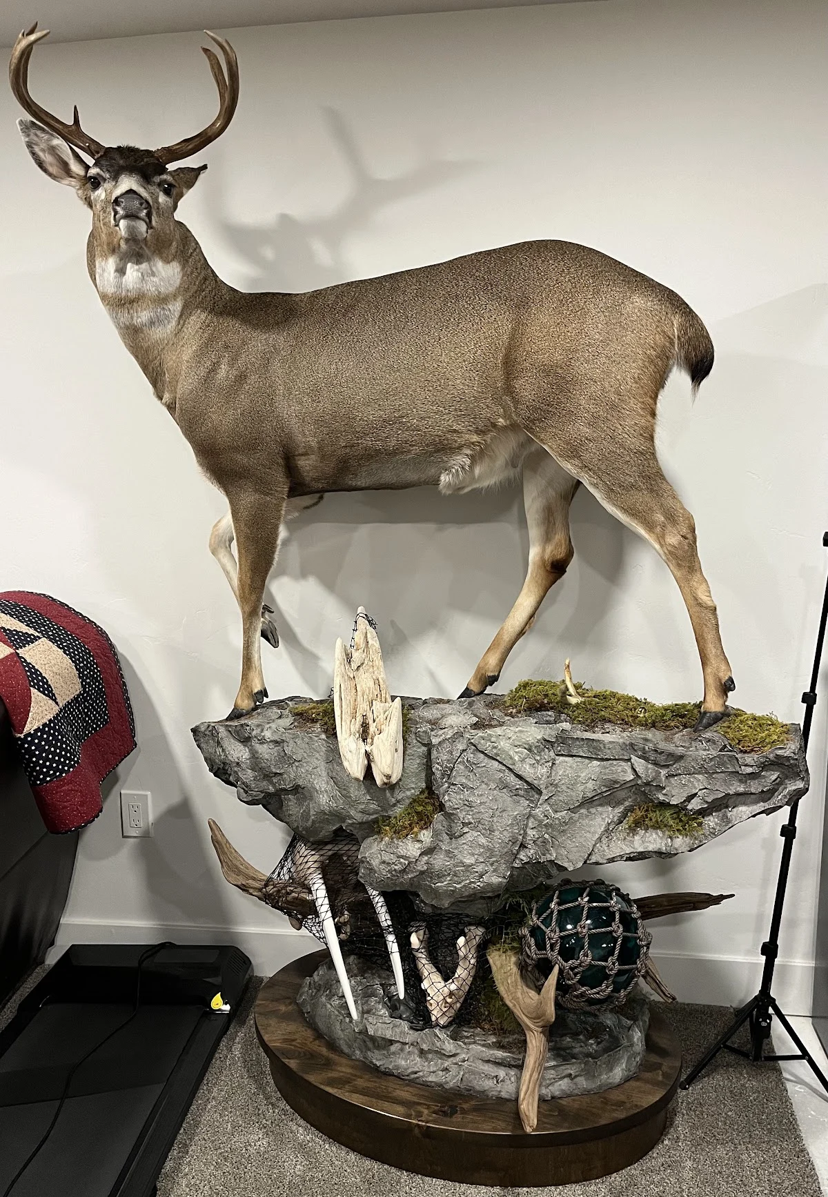 Second Generation Taxidermy