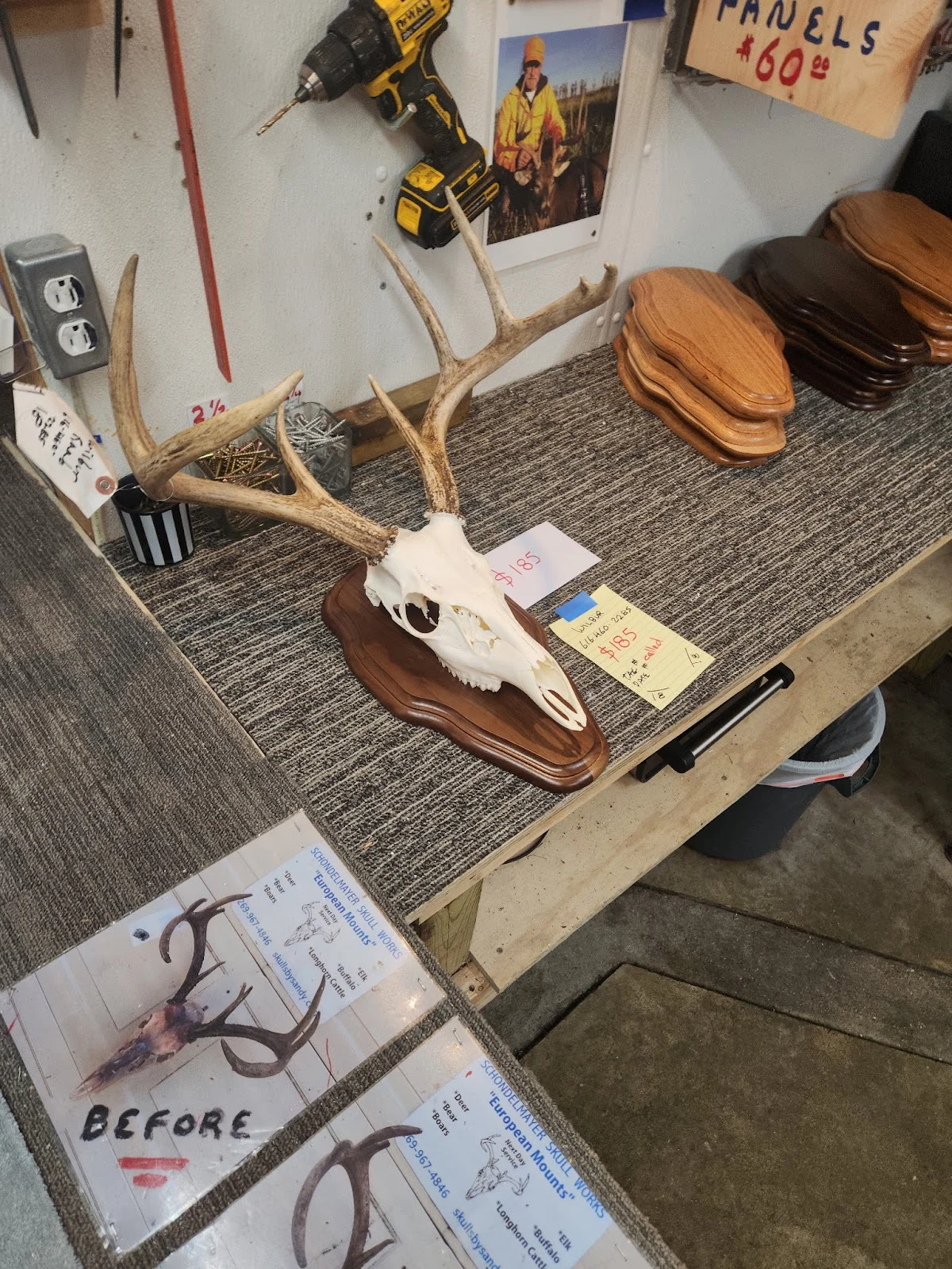 Selby’s Skulls - skull works - 2