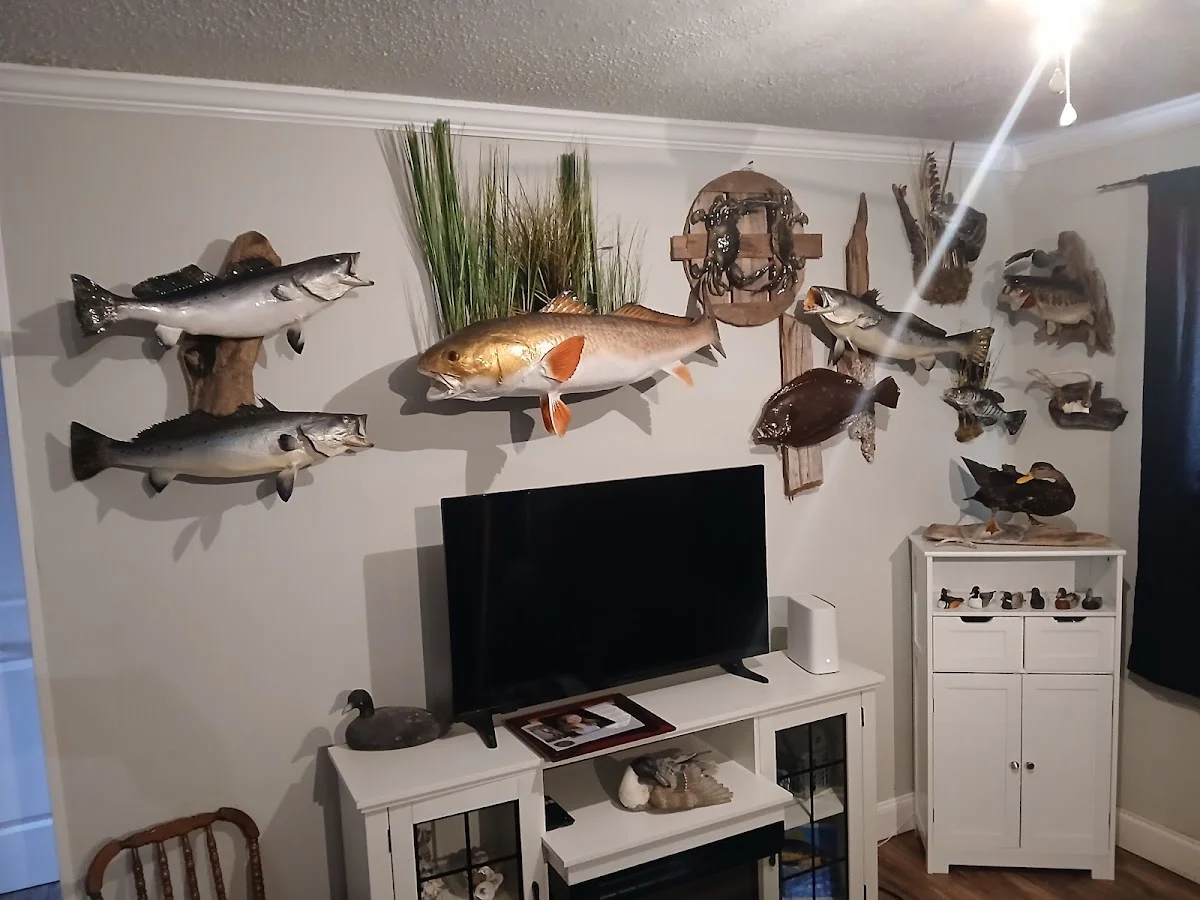 Southeast Taxidermy