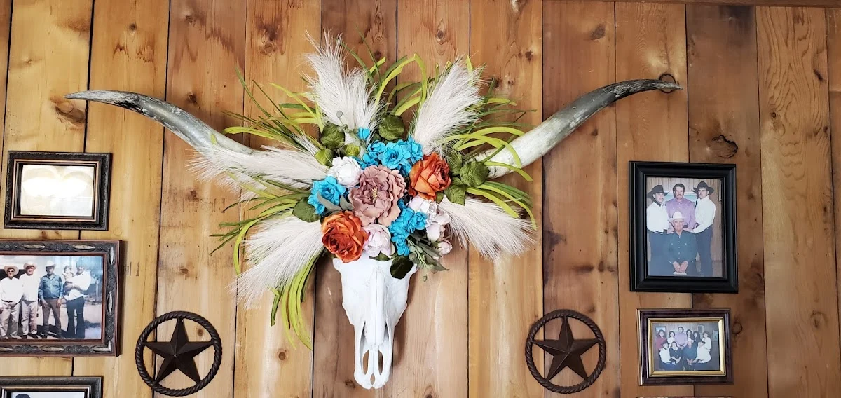 Southern Wings Taxidermy