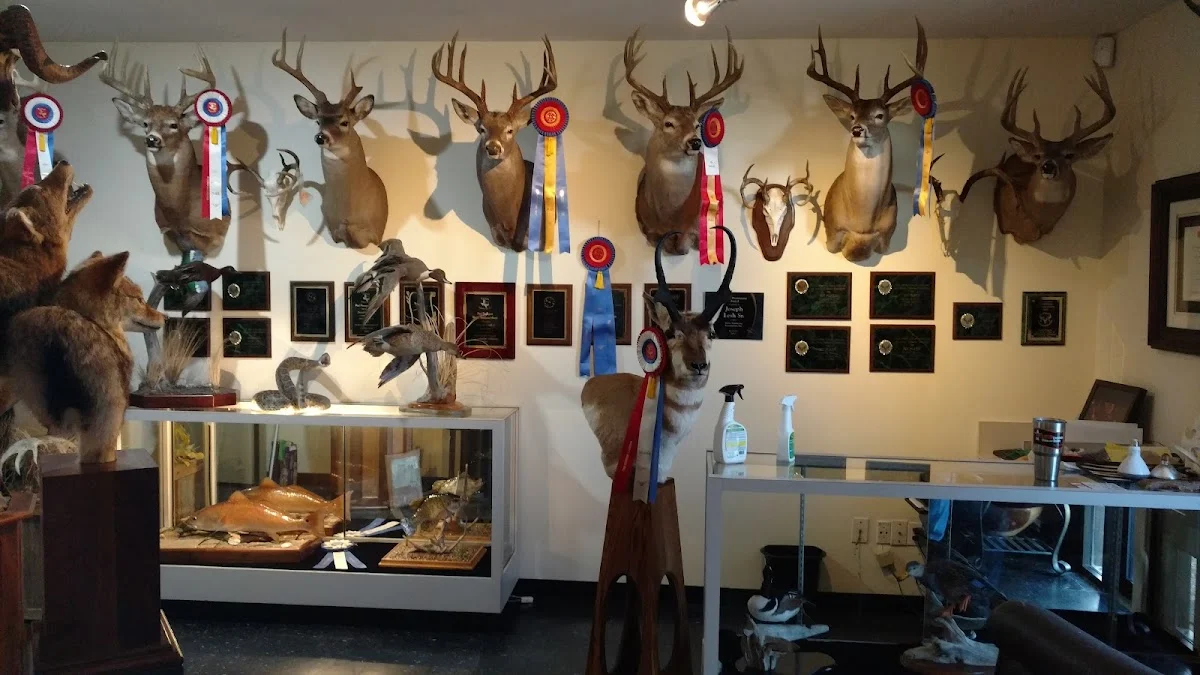 Sportsmen's Taxidermy