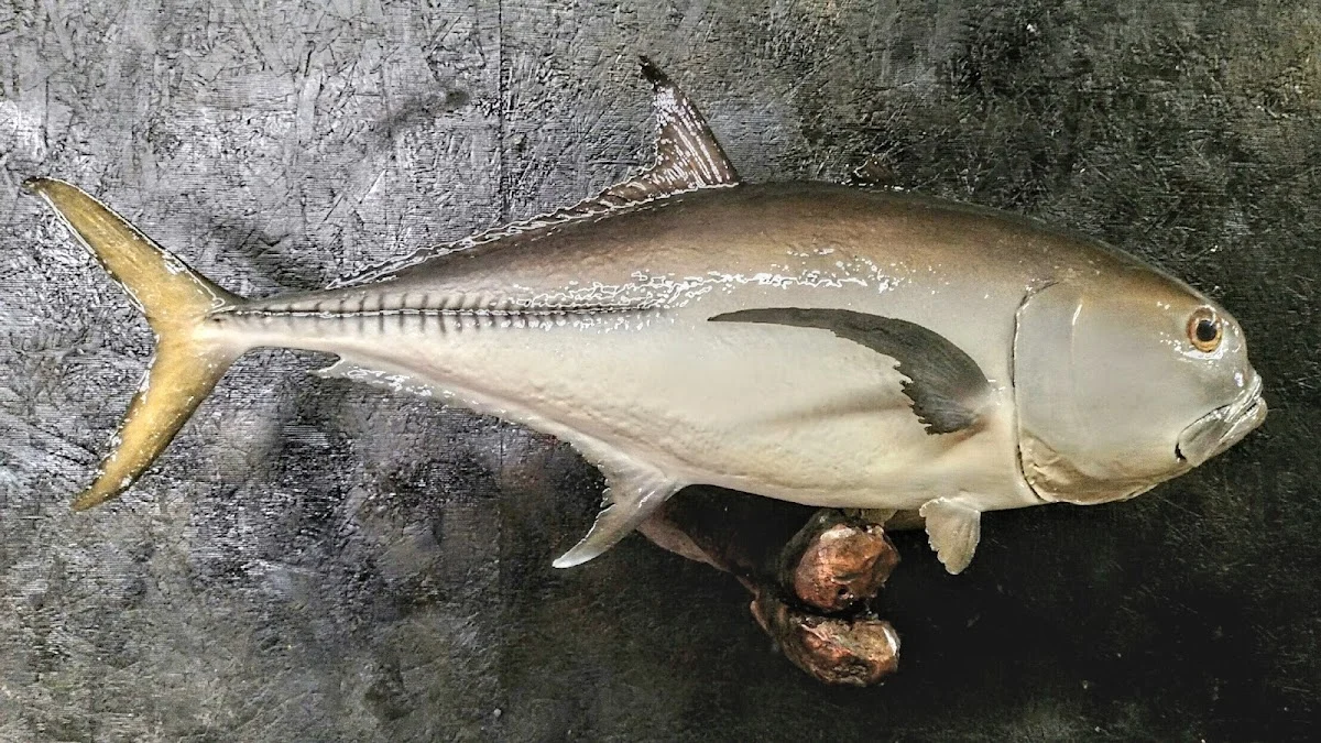 Tall Tale Fish Taxidermy - 2