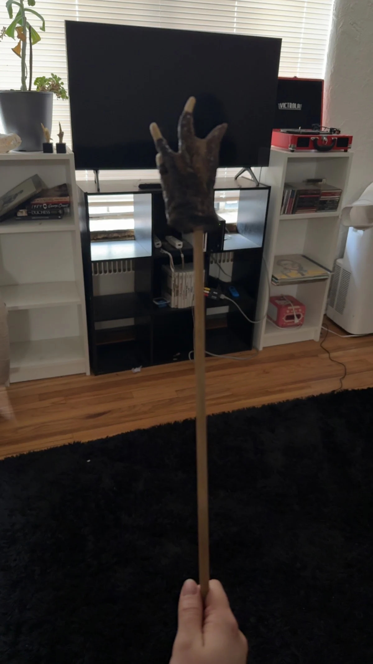 The Learned Lemur - 2