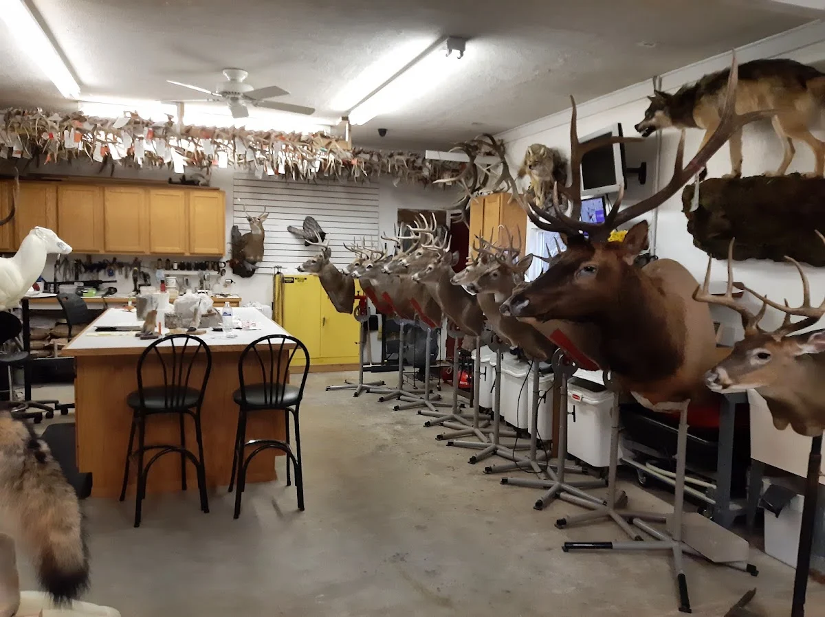Tim's Taxidermy - 2