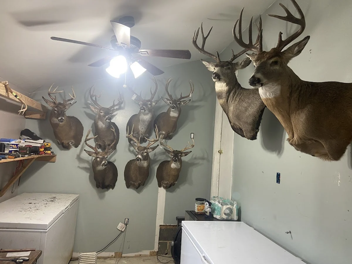 Tim’s Taxidermy - 2