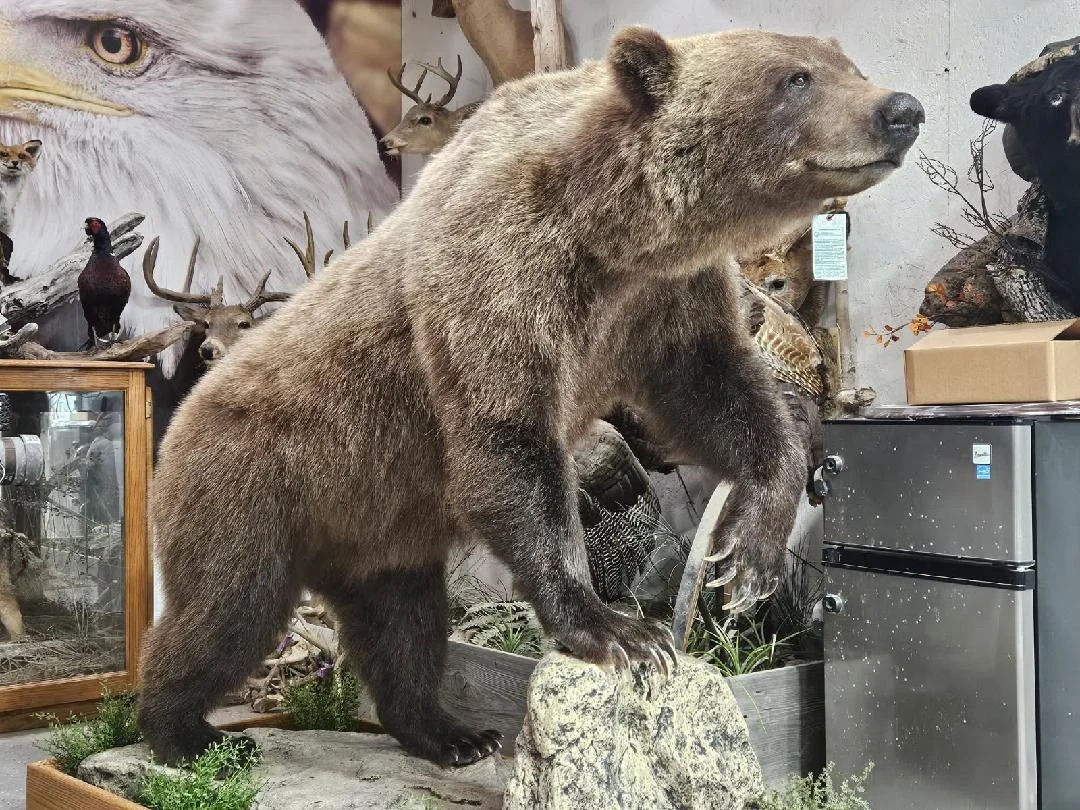Trophy Tails Taxidermy - 2