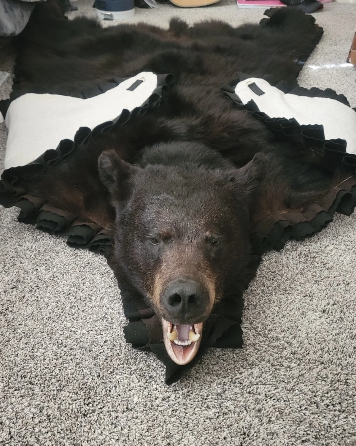 True to Life Taxidermy - 2