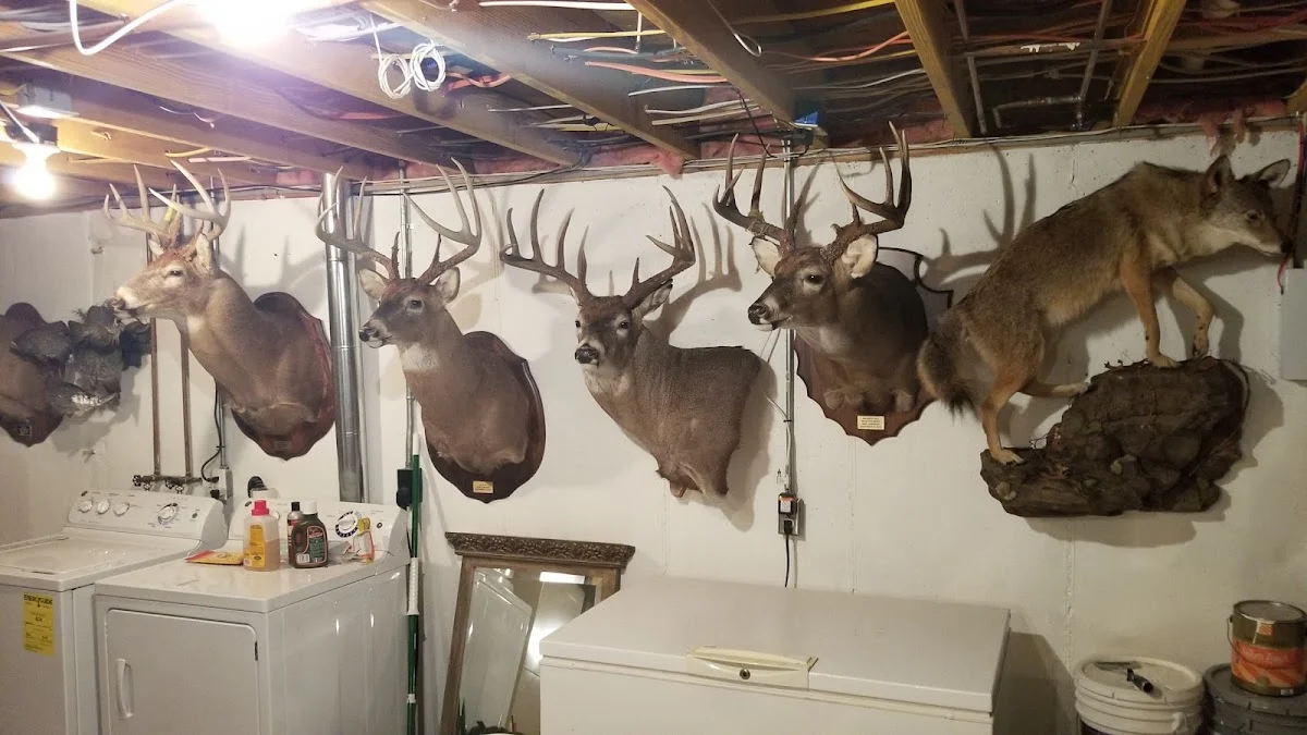 Tucker Brothers Taxidermy