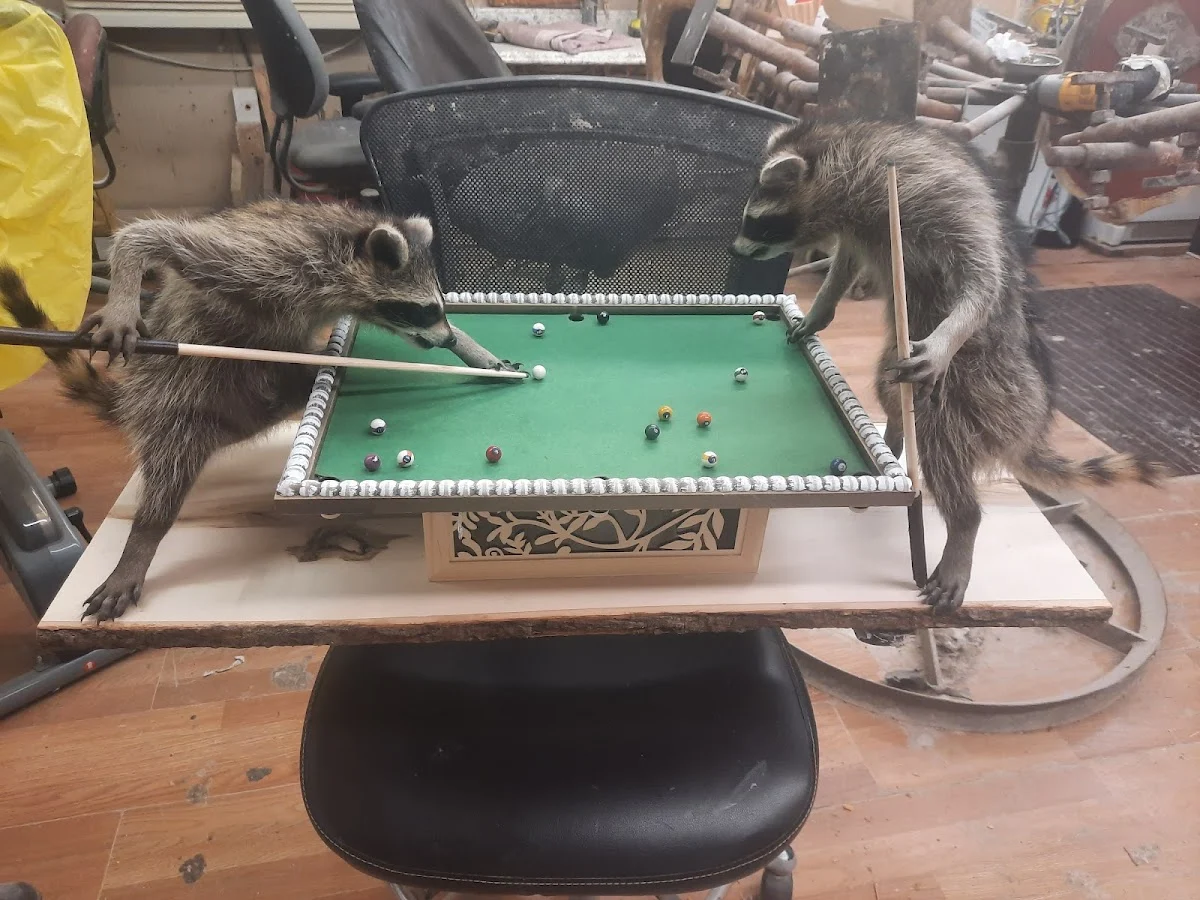 Tutor Custom Taxidermy - 2