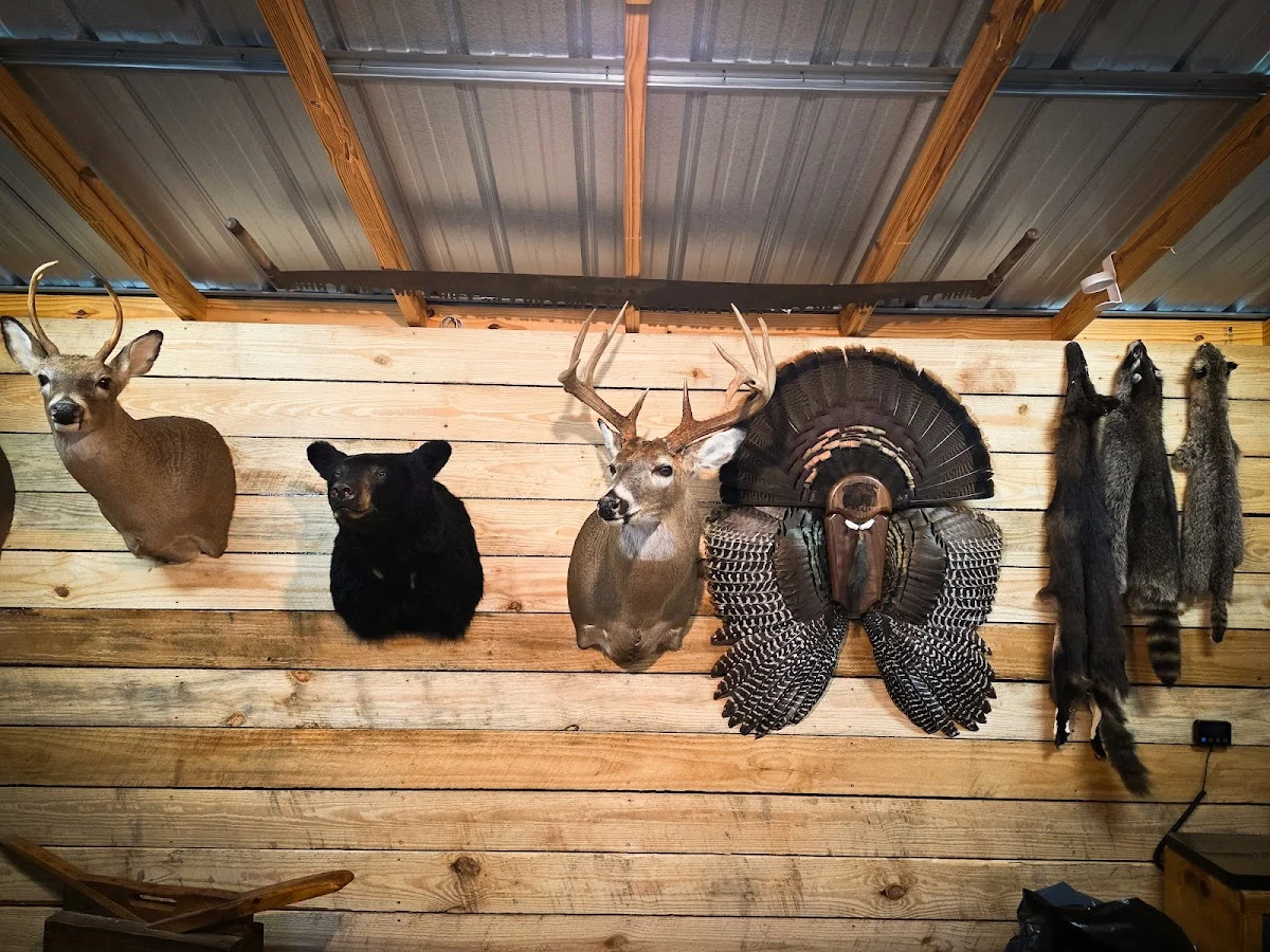Twisted Ridge Taxidermy - 2