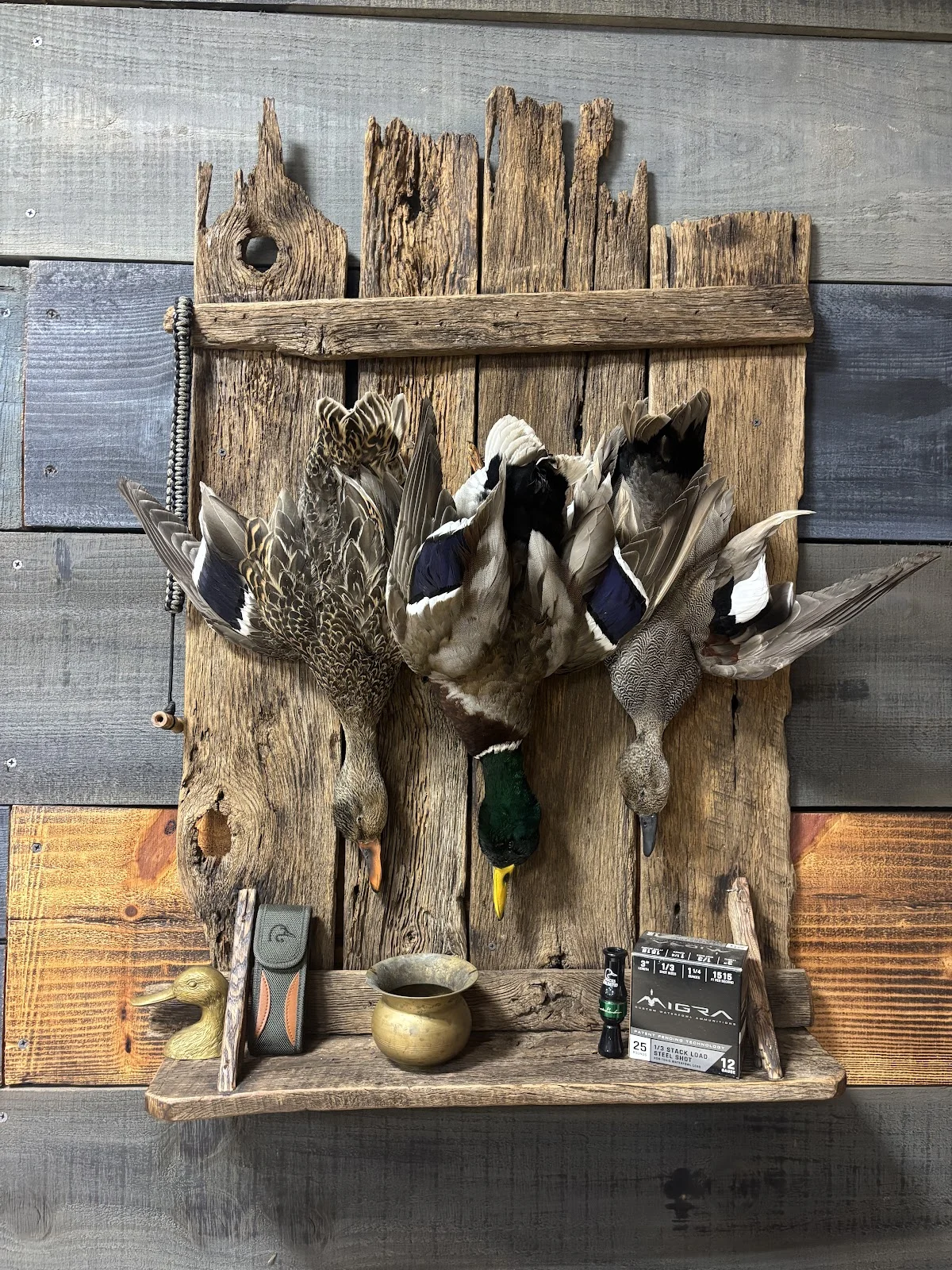 Twisted Tines Taxidermy and Processing