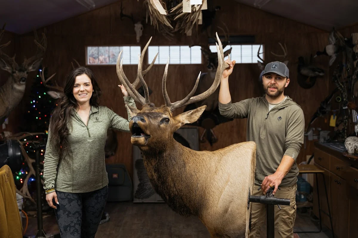 Uwharrie Taxidermy