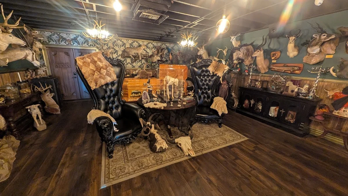 Vulture Culture Oddities - 2