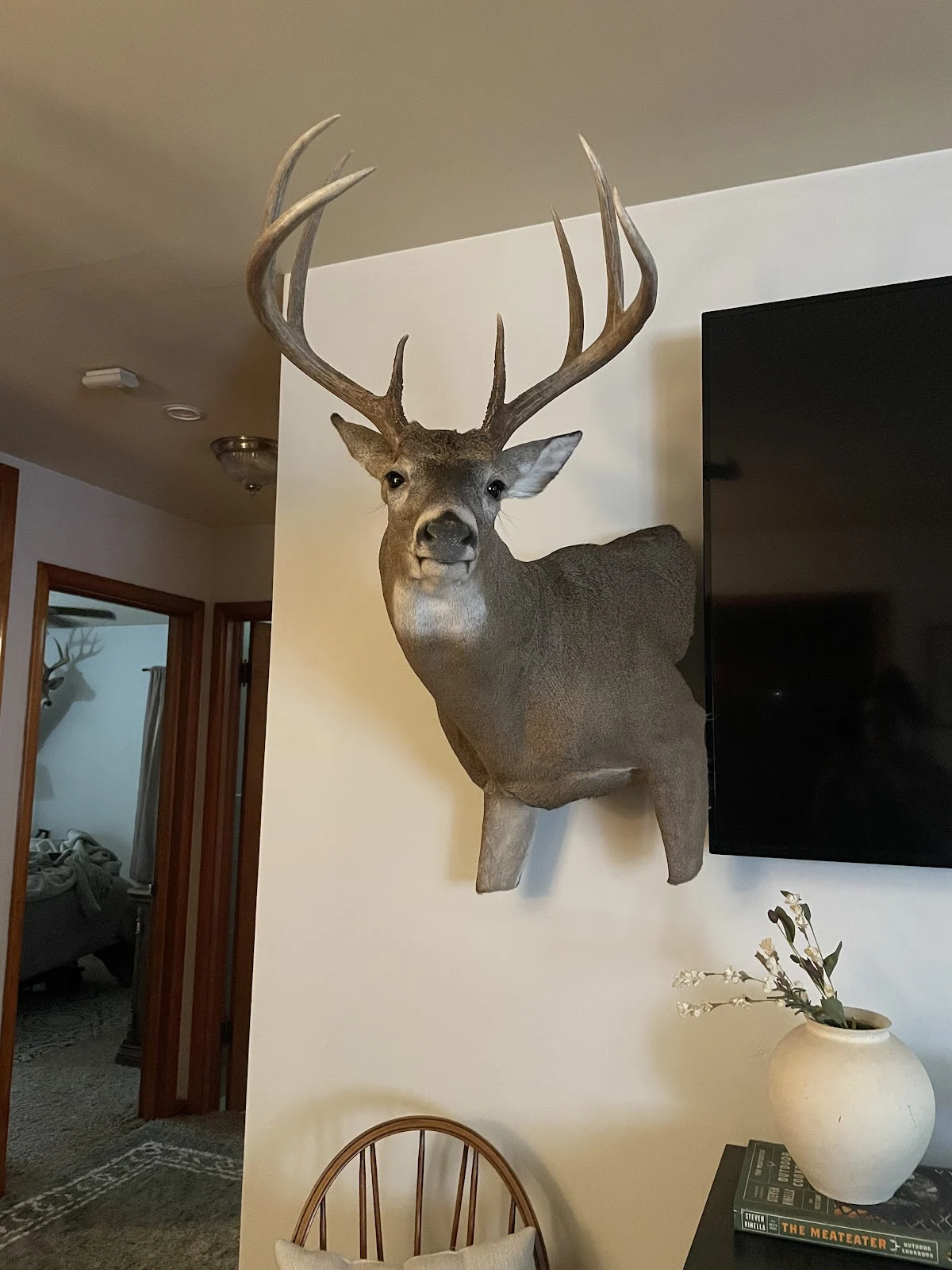 Whitebone Taxidermy - 2