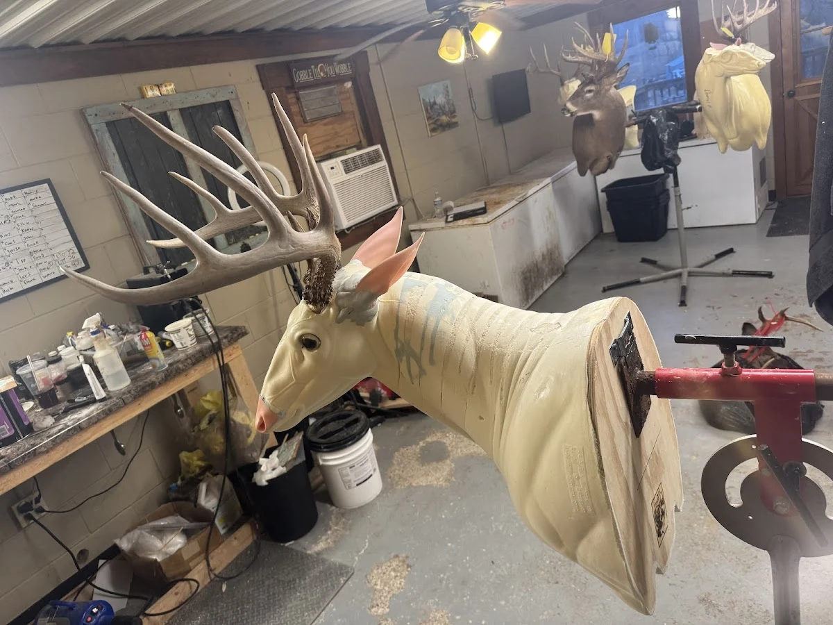 Whitetail Ridge Wildlife Artistry - 2