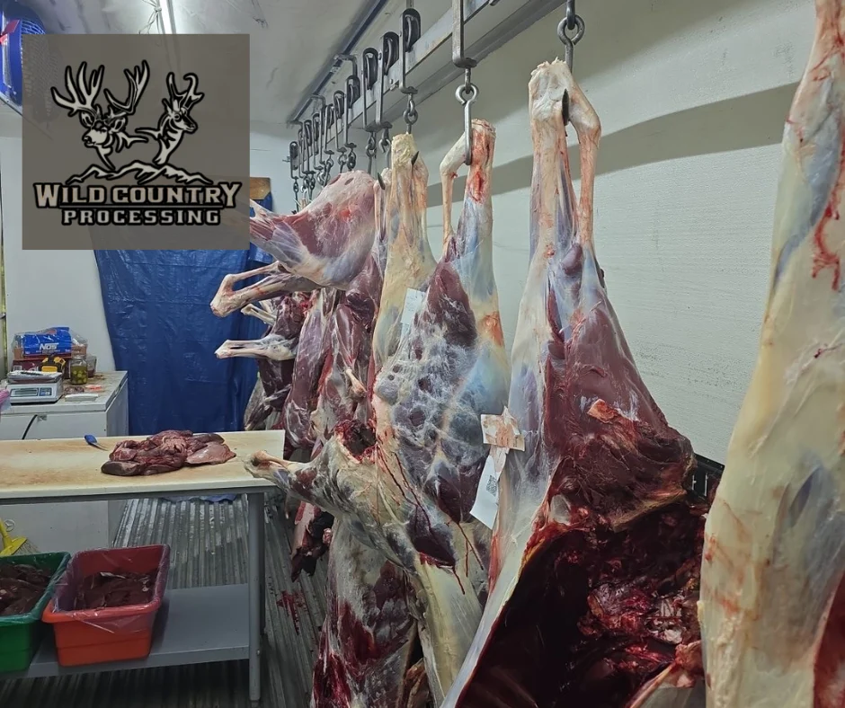 Wild Country Processing - 2