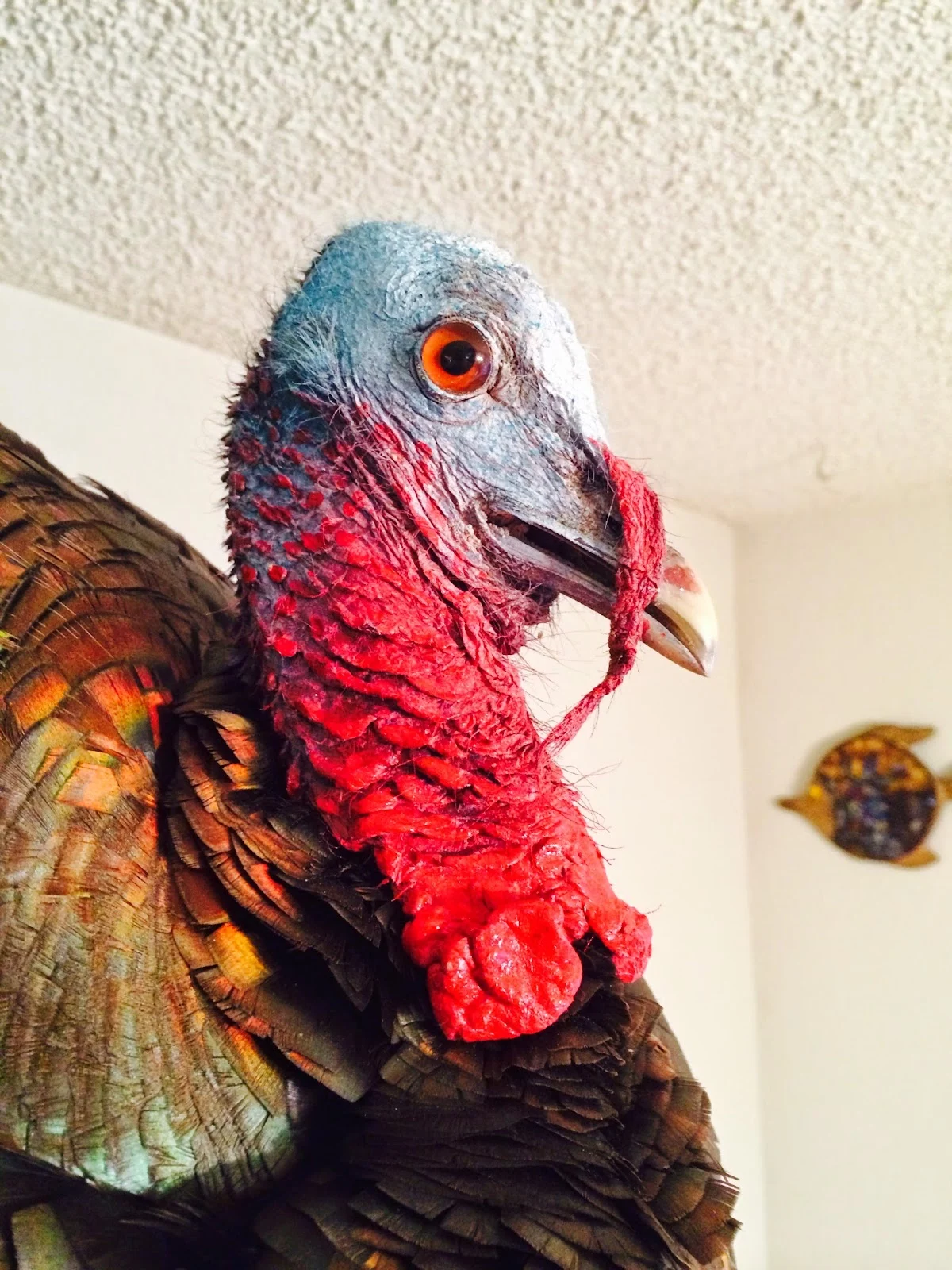 Wilderness Taxidermy